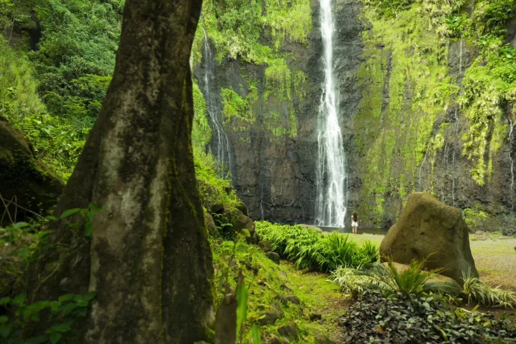Cascade des Trois Cascades entourée d’une forêt tropicale luxuriante à Tahiti