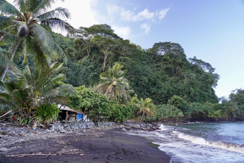 plage sauvage de Rua Ohiti à Tahiti avec cocotiers, sable noir et cabane en bord de mer
