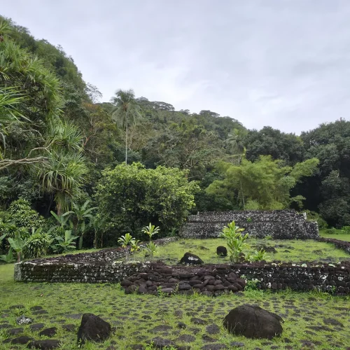 Vue large du marae Arahurahu à Tahiti entouré de montagnes et de forêt tropicale