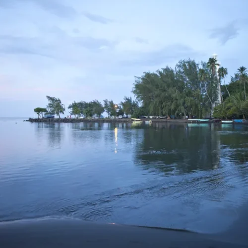 Vue calme du lagon de la Pointe Vénus à Tahiti avec cocotiers et reflets sur l’eau