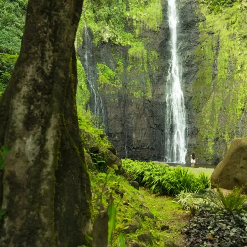 Cascade des Trois Cascades entourée d’une forêt tropicale luxuriante à Tahiti