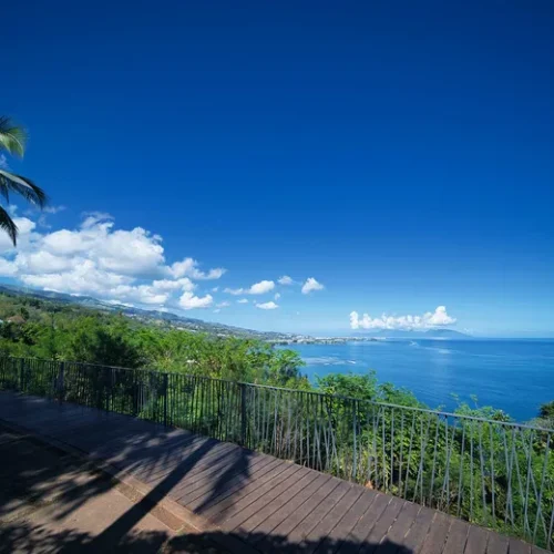 Vue panoramique depuis le belvédère de Tahara'a à Tahiti avec océan, littoral et cocotier
