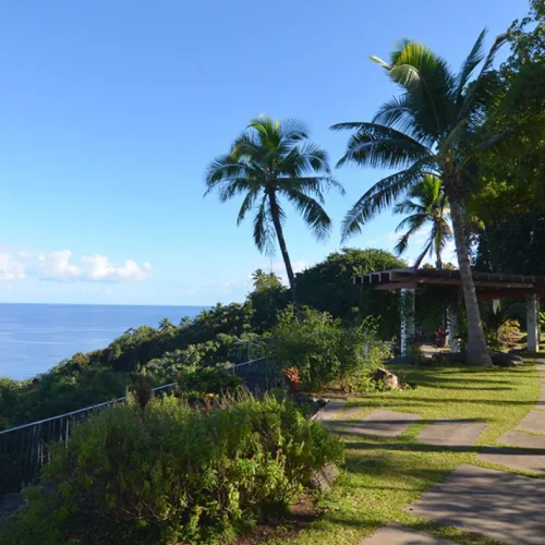 Allée du belvédère de Tahara'a bordée de cocotiers avec vue sur l’océan Pacifique