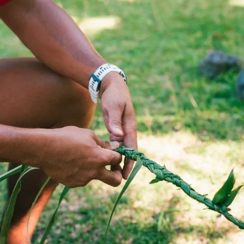 Mains tressant une palme verte pendant un atelier culturel polynésien