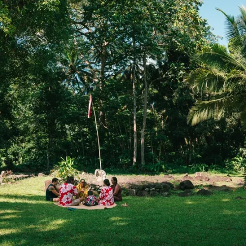 Vue panoramique du marae de Nu'utere à Tahiti entouré de végétation tropicale
