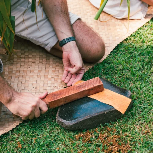 Fabrication de tapa lors d’un atelier culturel polynésien à Tahiti