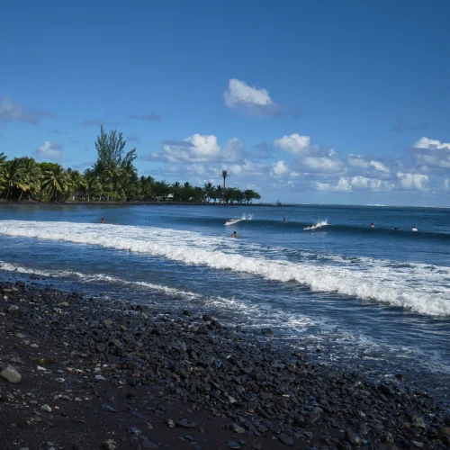 Surfeurs dans les vagues de Teahupo'o avec plage de sable noir et cocotiers à Tahiti