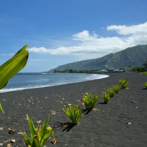 Plage de sable noir de Taharuu à Tahiti avec végétation tropicale et montagne en arrière-plan