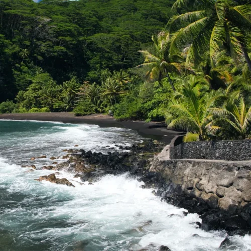 Littoral volcanique et cocotiers au Trou du Souffleur sur la côte est de Tahiti